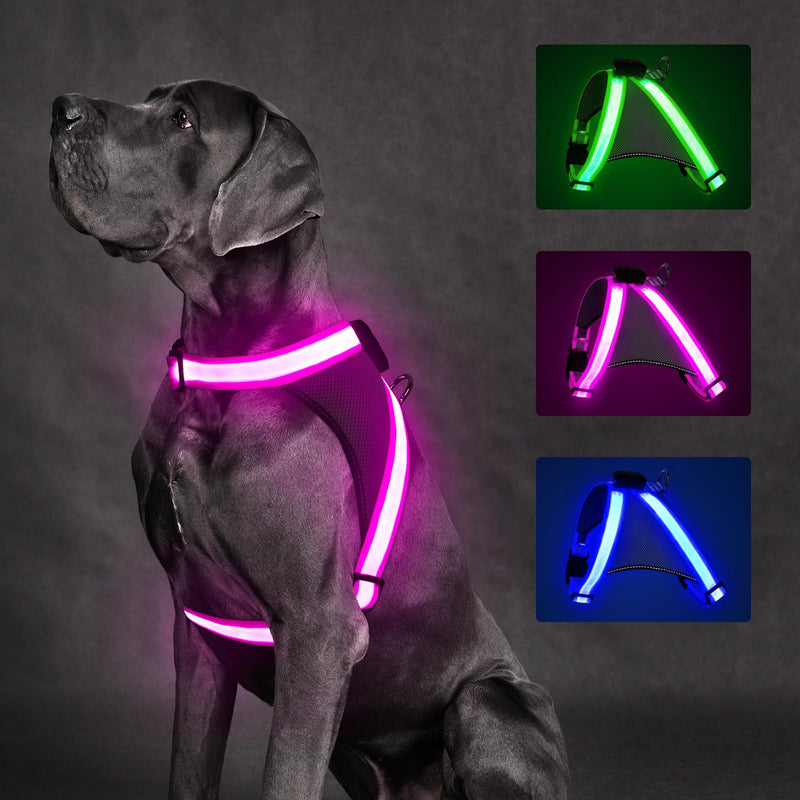 ChalkLit Light Up Dog Harness, No Pull Led Dog Harness Glow-in-The-Dark for Night Walking, USB Rechargeable Lighted Safety Vest for Medium Large Dogs, Adjustable Soft Mesh Fully Illuminated (Pink, M) Pink - PawsPlanet Australia