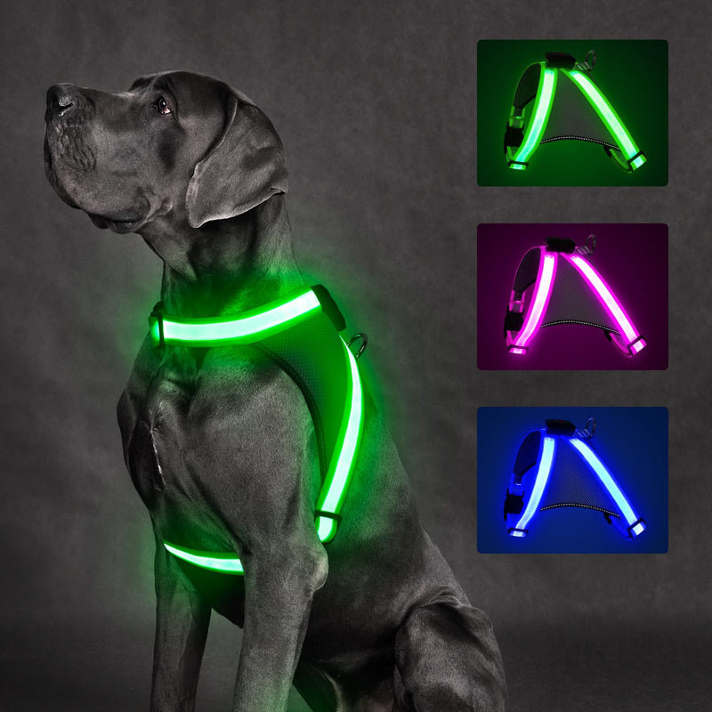 ChalkLit Light Up Dog Harness, No Pull Led Dog Harness Glow-in-The-Dark for Night Walking, USB Rechargeable Lighted Safety Vest for Medium Large Dogs, Adjustable Soft Mesh Fully Illuminated(Green, L) Green - PawsPlanet Australia