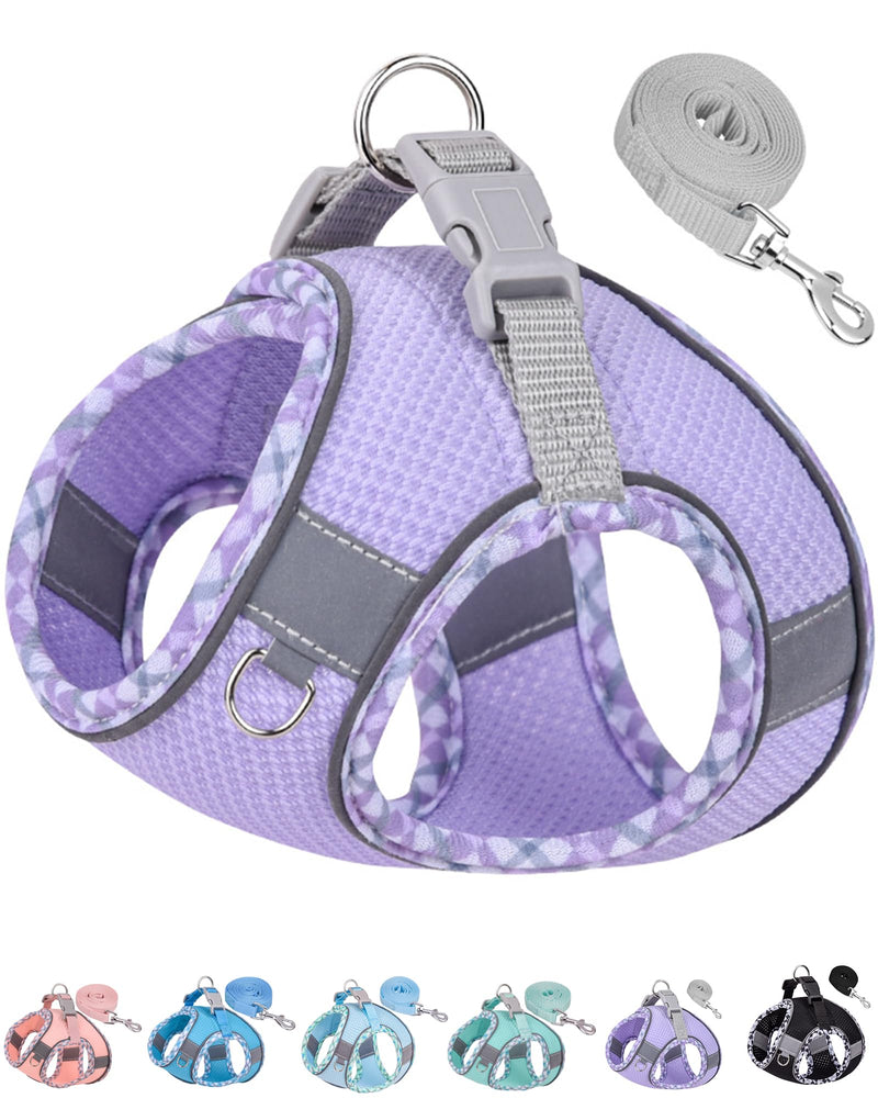 Petank Dog Harness for Small Medium Dogs No Pull, Puppy Harness and Leash Set, Easy Walk Dog Harness for Walking, Running, Training, Small Dog Harness, Medium Dog Harness (Purple, S) Purple - PawsPlanet Australia