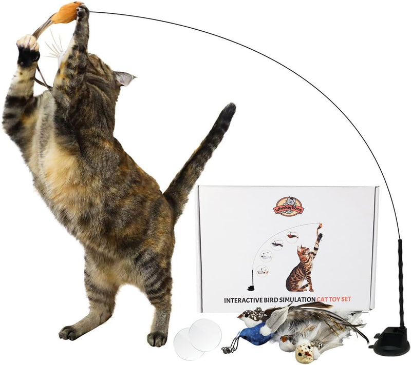 Interactive Bird Simulation Cat Toy Set, Interactive Cat Toys for Indoor Cats, Cat Feather Toy, Self-Holding Suction Base, 5 Replacement Birds, Feathers & Bells, Realistic Bird Impression Bird Toy Set With 5 Birds - PawsPlanet Australia