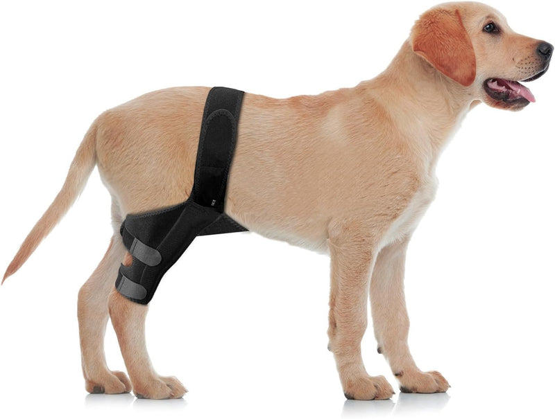 Dog Knee Brace Leg Braces - Dog Canine Knee Stifle Brace Wrap Dog Knee Brace for Torn ACL Hind Leg Joint Pain Muscle Sore Pet Brace Reduces Pain and Inflammation (M) - PawsPlanet Australia