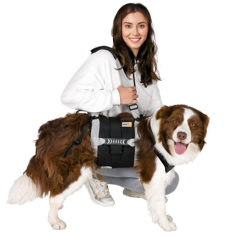 Dog Lift Harness for Large Dogs,Full Body Dog Sling Carrier with Handle,for Up Stairs/Back Legs Support/Dogs Joint Injuries/Arthritis/Nail Clipping L - PawsPlanet Australia