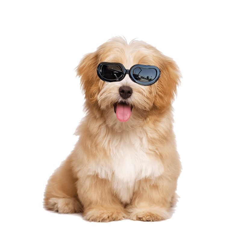 Dog Sunglasses with Adjustable Straps Dog Goggles for Small Breed Windproof Proof UV Protection Small Dog Goggles -Black Black - PawsPlanet Australia