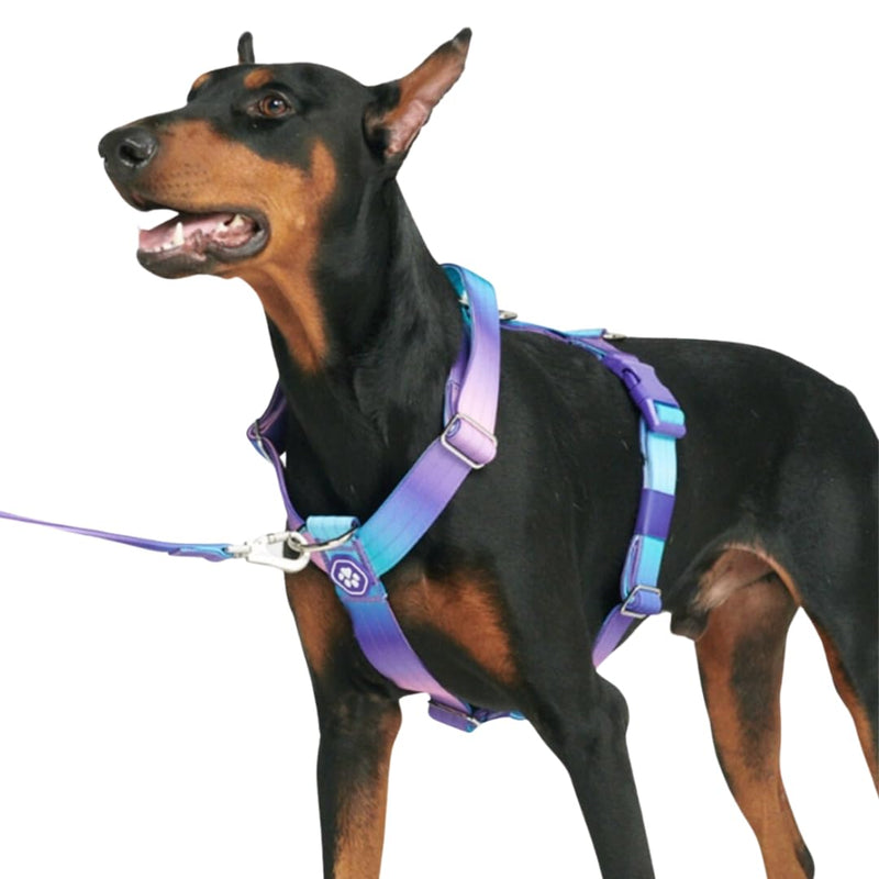Spark Paws No-Pull Dog Harness - Designed for Safety and Control, Ideal for Large, Strong Breeds - Pitbulls, Boxers - 90s Retro – M Medium - PawsPlanet Australia