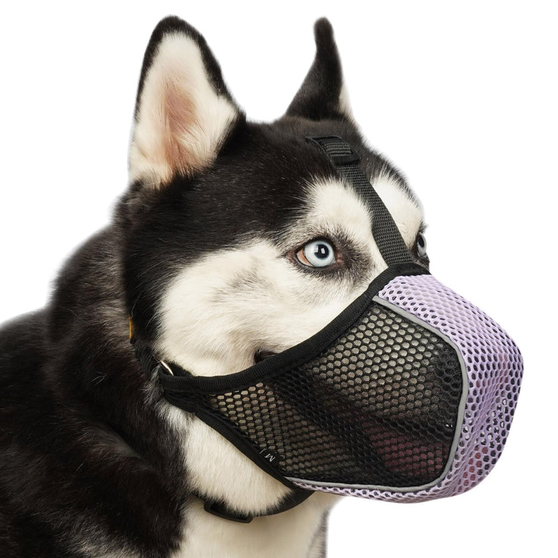 Mayerzon Dog Muzzle, Patented Mesh Soft Muzzle for Large Medium Small Dogs for Scavenging Grooming Biting Chewing, Breathable Reflective Doberman Husky Muzzle with Collar for Labrador Retriever Poodle Black/Purple M-(Snout:9¾"-10¾") - PawsPlanet Australia