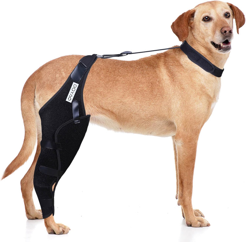 Dog Knee Brace for Torn ACL Hind Leg, Cruciate Ligament Injuries, Patella Dislocation, Double Straps and Comfortable Dog Leg Braces for Back Leg Support (Left- X Large) Left- X large - PawsPlanet Australia