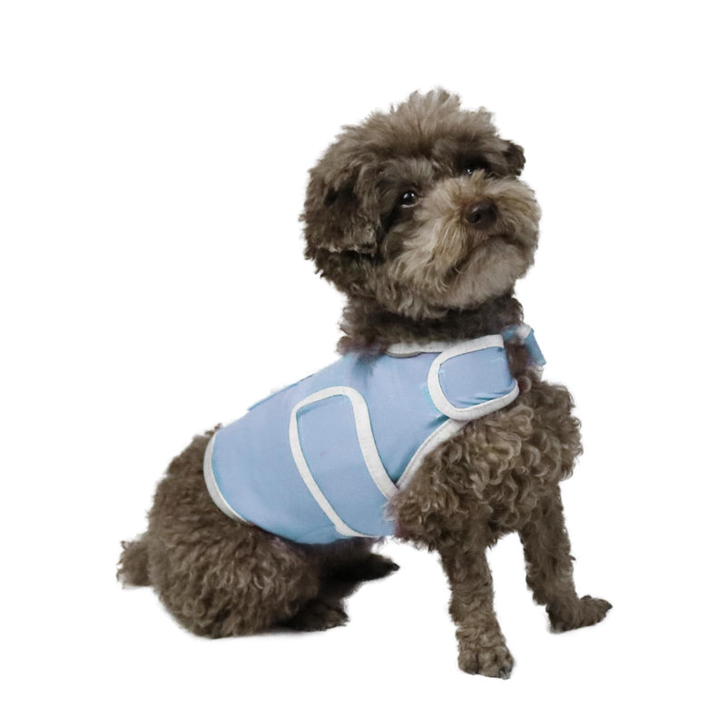 Dog Anxiety Vest, Comfort Dog Anxiety Relief Coat, Breathable Dog Calming Vest for Thunderstorm, Travel, Fireworks, Vet Visits (S,Light Blue) Small Light Blue - PawsPlanet Australia