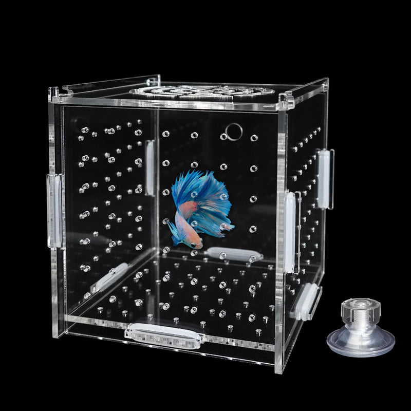 Acrylic Fish Breeding Box, Transparent Fish Isolation Box Hatchery Incubator with Suction Cups for Aquarium Fish Tank Guppy Shrimp Clownfish African Cichlids (4 * 4 * 4inch) 4*4*4inch - PawsPlanet Australia
