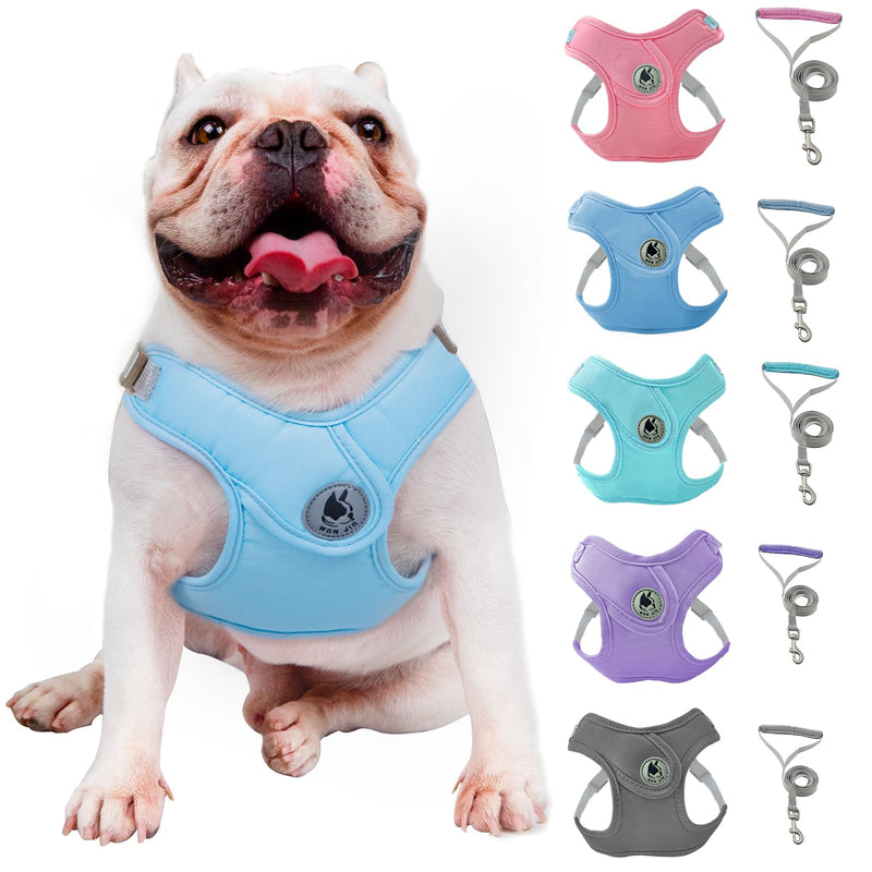 Dog Harness with Leash Set, No-Pull Pet Harness with 1 Leash Clips, Adjustable Soft Padded Pet Vest for Small Medium Dogs No Pull, Puppy Harness and Leash Set - PawsPlanet Australia