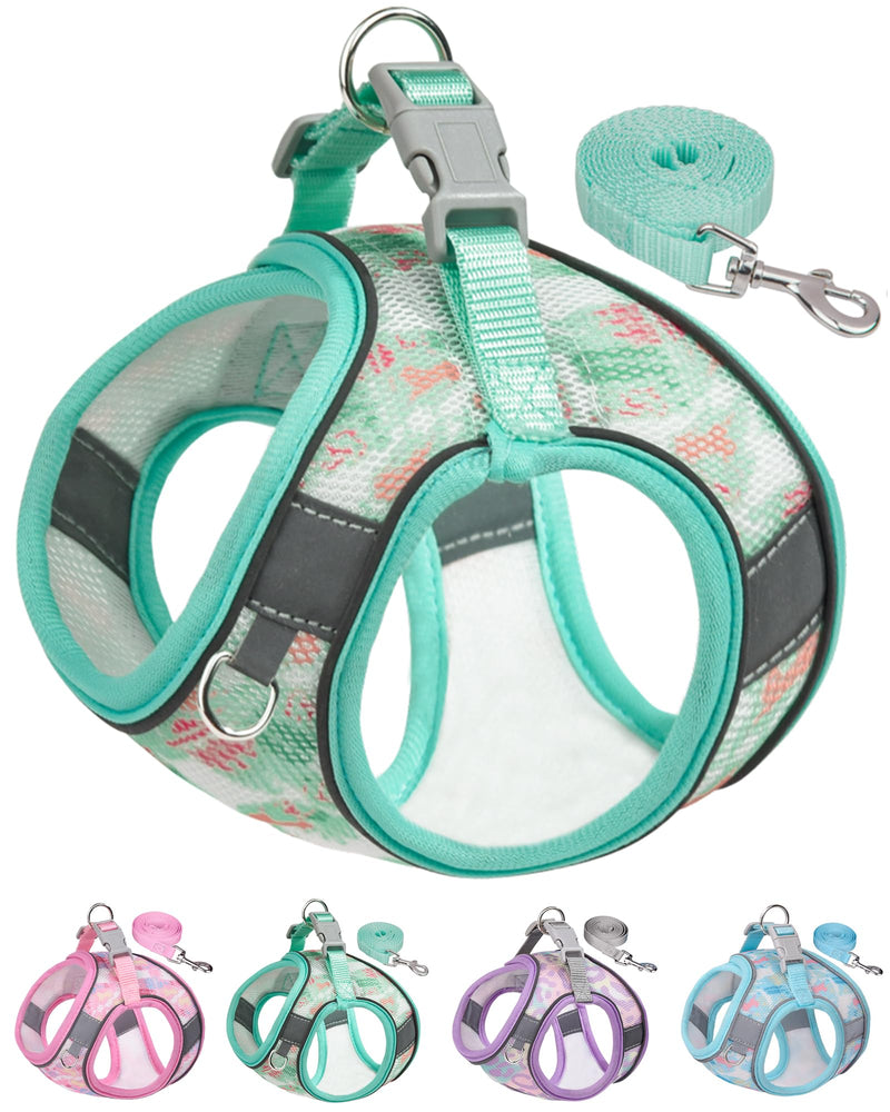 Dog Harness for Small Medium Dogs No Pull, Cat Harness and Leash Set, Step in Puppy Harness. (Green, S) Green - PawsPlanet Australia