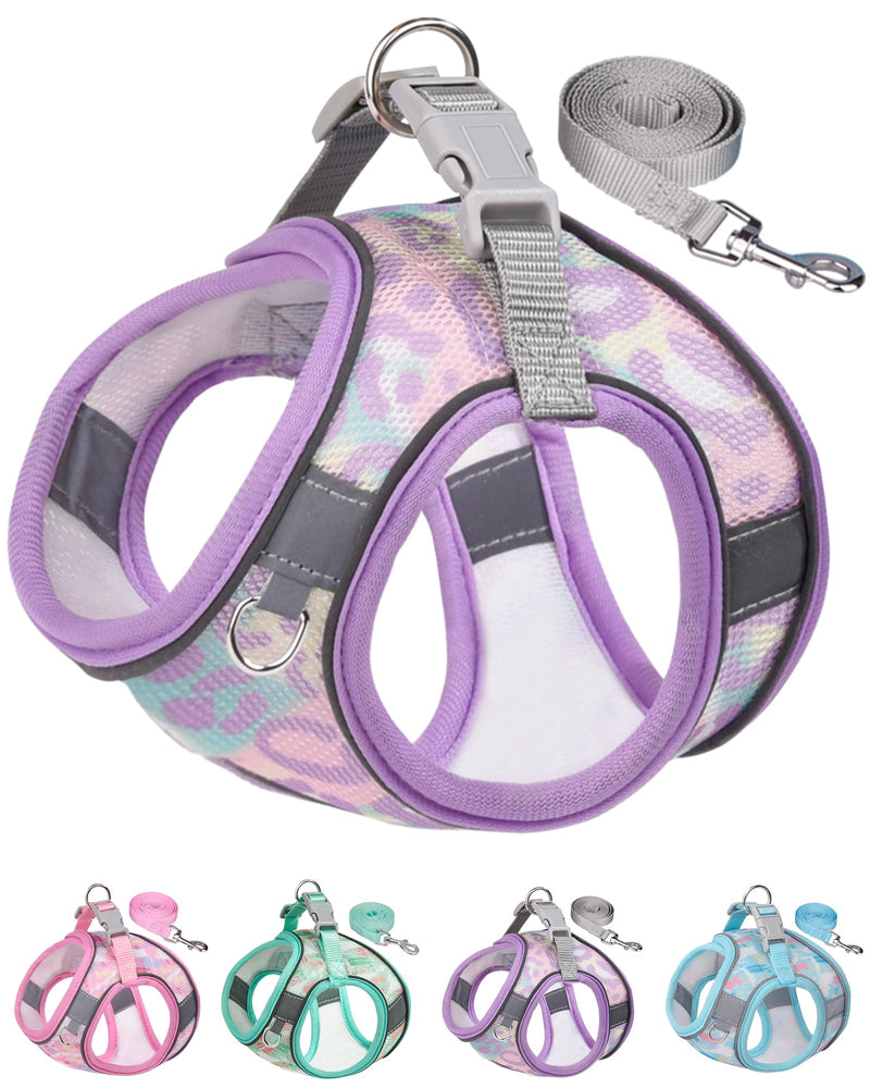 Dog Harness (Purple, S) - Jacquard Fabric, Easy Step-in, No Pull, Reflective Strip, Small Dog Harness and Leash Set Purple - PawsPlanet Australia