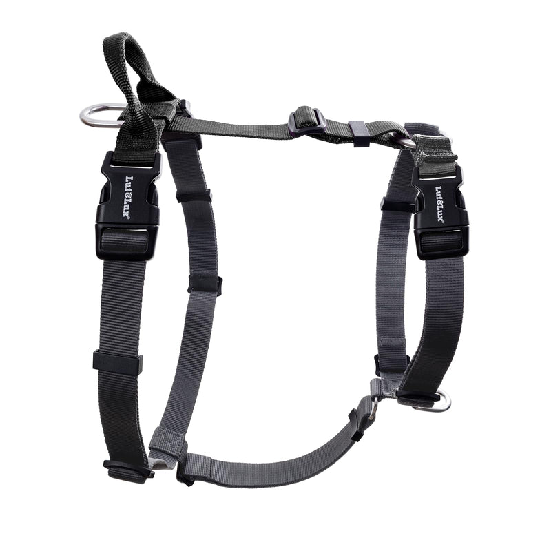 Non-Restrictive Dog Harness Medium Sized Dog, Easy Walk Freedom No Pull Harness, Keep Balance, Neck-Buckle, Six Points Adjustment, 2 Leash Clips for Back/Front Clip, Black/Grey M - PawsPlanet Australia