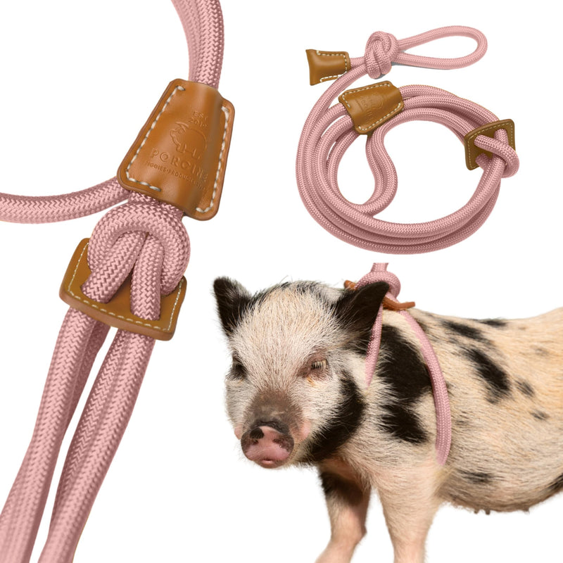 Pig Harness Leash-Fully Adjustable Pig Leash Harness for Small & Medium Pigs-Easy Step in Harness-Infinity Style Pet Pig Leash-Durable & Gentle Mini Pig Harness-Mini Pig Supplies (Small-Mauve Pink) Mauve Pink - PawsPlanet Australia