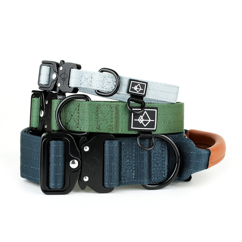 Made to ROAM Premium Explorer Control Collar - Adjustable Heavy Duty Nylon Dog Collar with Quick-Release Metal Buckle and Handle (Carolina Blooms, Control Size 5) - PawsPlanet Australia
