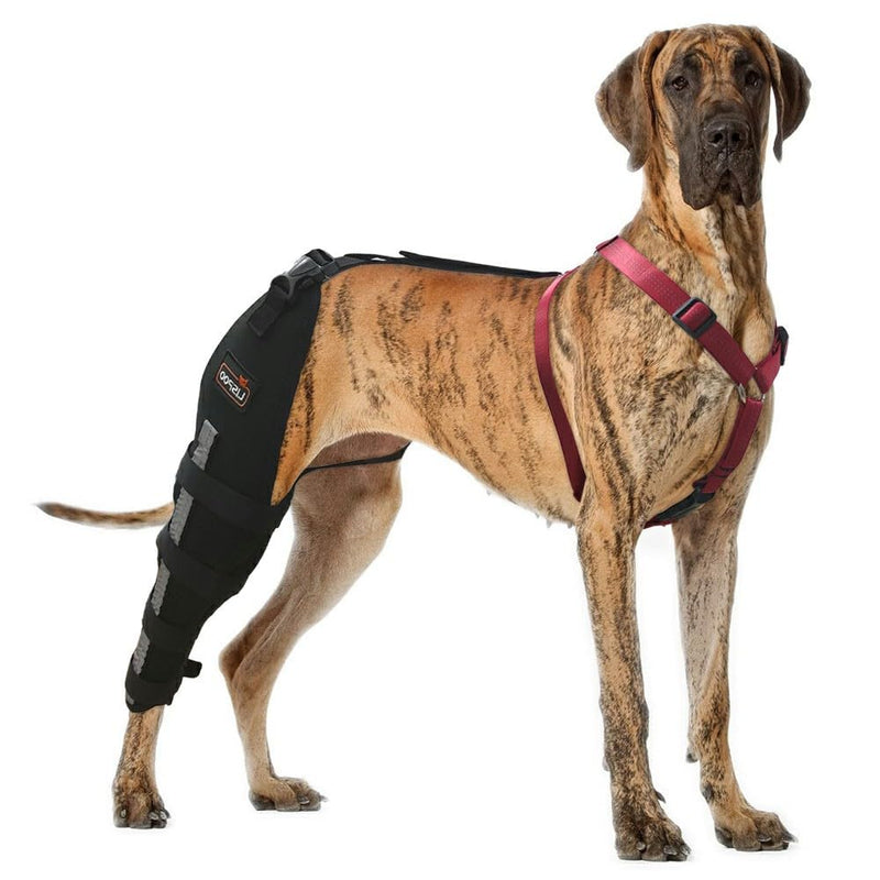 Dog Anti-Licking Leg Sleeve,Rear Leg Protector to Stop Licking,Wound Protection Sleeve for Post-Surgery Recovery,Right Leg Right Leg XL - PawsPlanet Australia