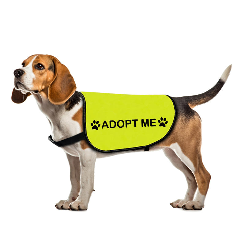 Rescue Dog Jacket Vest Adopt Me Dog Vest Foster Dog Slogan Vest (Adopt Me-Large) Adopt Me-Large - PawsPlanet Australia