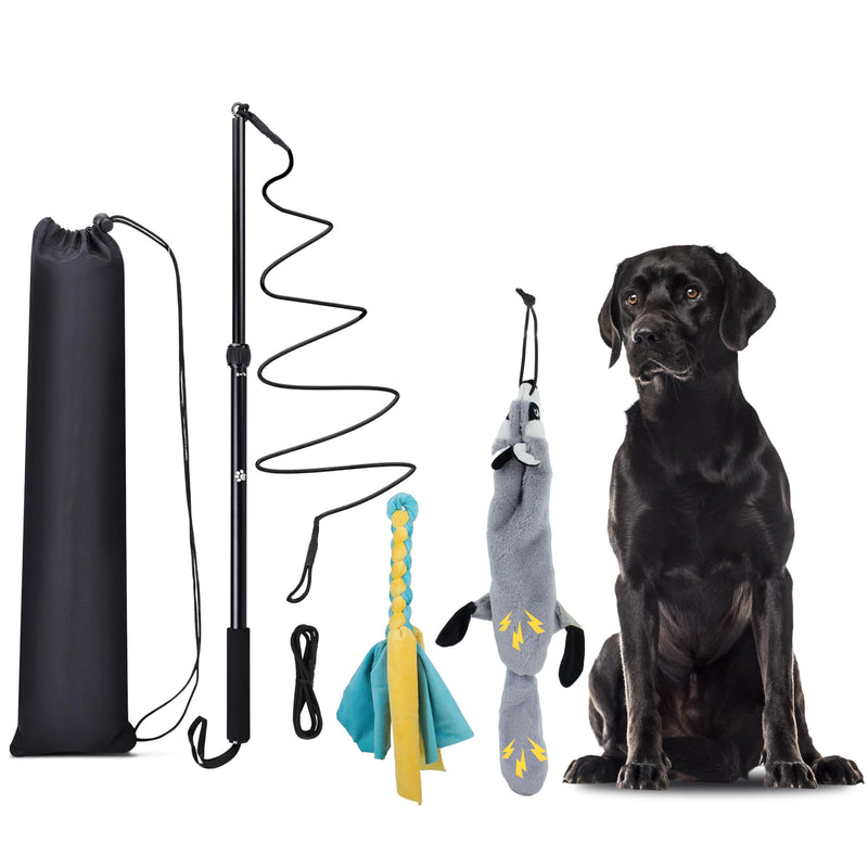 Flirt Pole Dogs, Dog Chase Toy with Squeakers Inside, Dog Fishing Pole Toy for Large Medium Small Dogs to Keep The Dog Entertained and Physically Exhausted, Rope+Beaver, L - PawsPlanet Australia