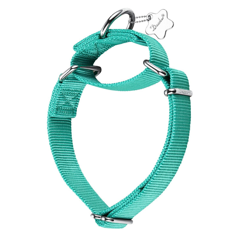 Martingale Dog Collar, No-Buckle Escape-Proof Design, Heavy-Duty Nylon and Welded D-Ring, Adjustable Training Collar for Medium Large Dogs (Tiffany Blue, L) Large: 17" -25" Tiffany Blue - PawsPlanet Australia