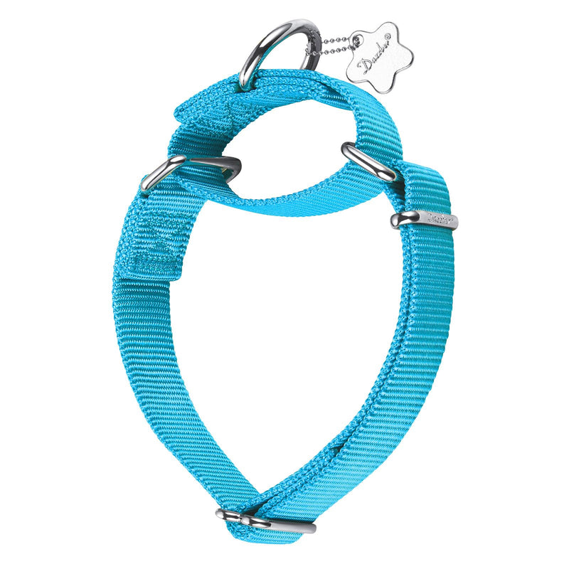 Martingale Dog Collar, No-Buckle Escape-Proof Design, Heavy-Duty Nylon and Welded D-Ring, Adjustable Training Collar for Medium Large Dogs (Turquoise, L) Large: 17" -25" Turquoise - PawsPlanet Australia