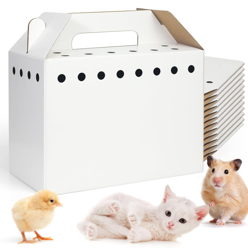 Disposable Cardboard Pet Carrier for Small Animals-12 Pack - PawsPlanet Australia