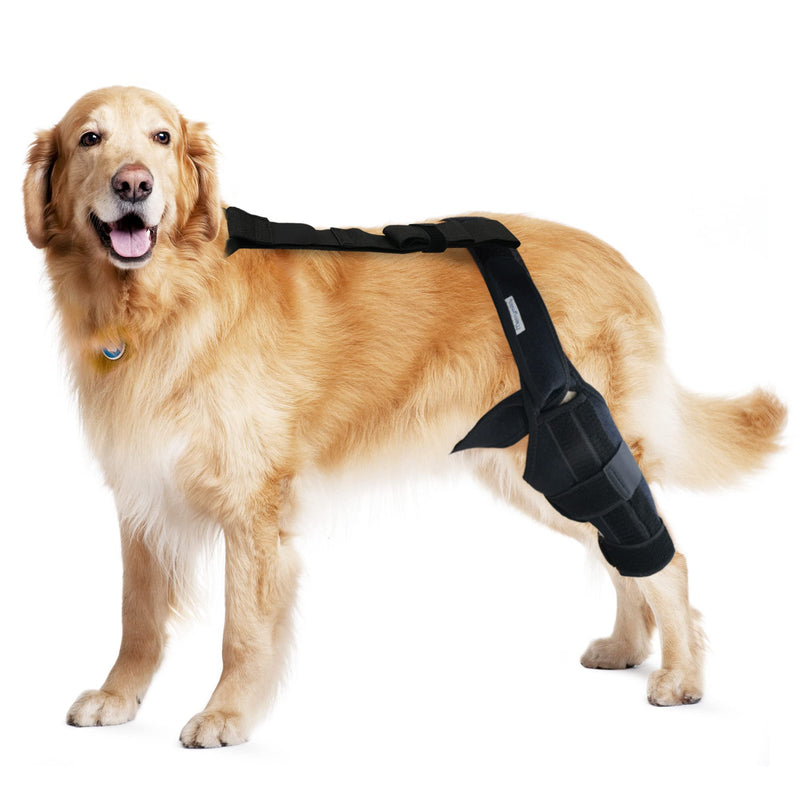 Dog Knee Brace for Hind and Rear Leg, Support for Dog ACL CCL Cruciate Ligament Injury Joint Pain and Muscle Sore, Size S - PawsPlanet Australia