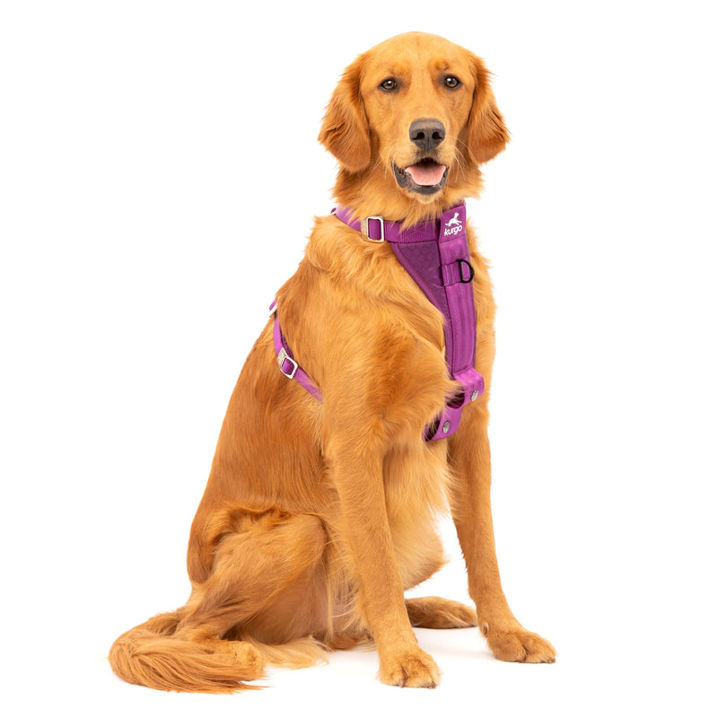 Kurgo Enhanced Strength Tru-Fit Dog Car Harness - Pet Travel Safety Harness - Crash Test Certified Fit - Five Point Adjustment - Secure Buckle - Padded Chest - Deep Violet - Large - PawsPlanet Australia