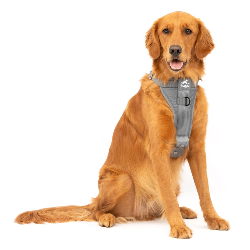 Kurgo Enhanced Strength Tru-Fit Dog Car Harness - Pet Travel Safety Harness - Crash Test Certified Fit - Five Point Adjustment - Secure Buckle - Padded Chest - Charcoal - Large - PawsPlanet Australia