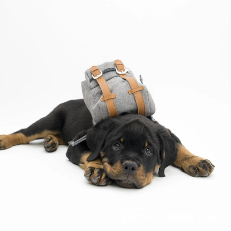 Cute Dog Backpack for Dogs to Wear Puppy Backpacks Adjustable Pet Self Carrier Bag with Harness Buckle for Hiking Daily Walking, Grey - PawsPlanet Australia