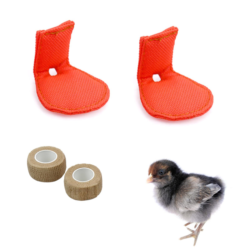 2 Pack Chick Hobble Brace Chick Splay Leg Brace for Newly Hatched Chicks Baby Goslings Juvenile Birds - PawsPlanet Australia