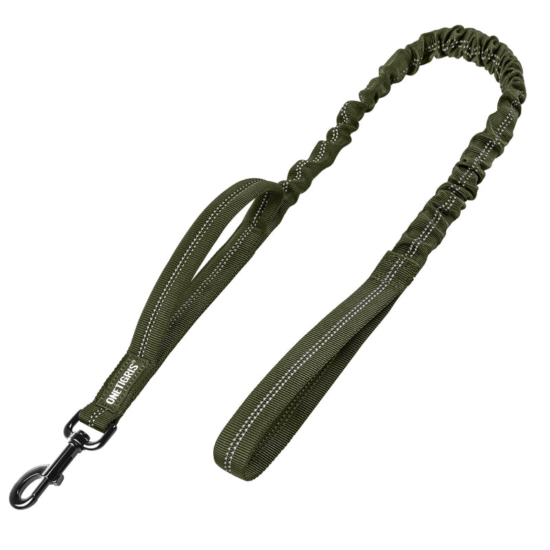 OneTigris Heavy Duty Bungee Dog Leash with Control Handle and Quick Release, Shock Absorption for No Pull Training (Green) Green - PawsPlanet Australia