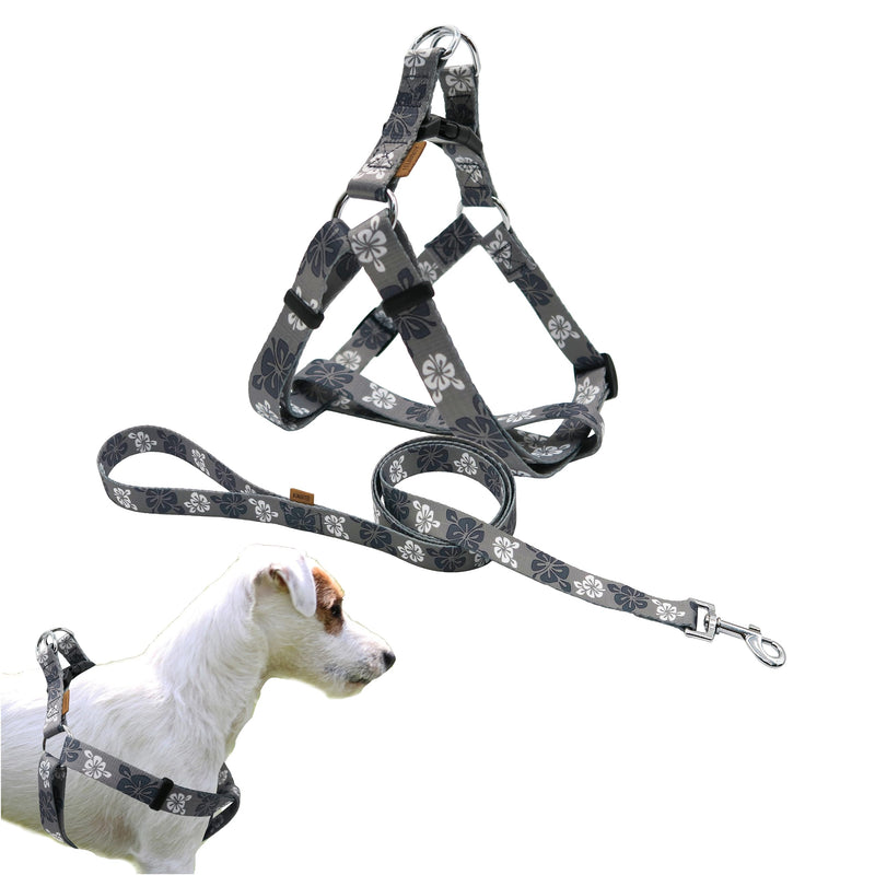 Dog Halter Harness and Leash Set, Cute Floral Patterns, Soft and Adjustable Harness, Step in, Anti-Choke — Perfect for Walking (Harness Leash Set (Grey), S (Chest 13-22")) Grey S (Chest 13-22") Harness Leash Set - PawsPlanet Australia