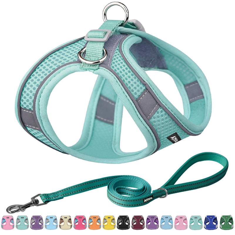 AIITLE No Pull Dog Harness and Leash Set, Step in Adjustable Dog Harness with Padded Vest for All Weather, Dog Leash with Soft Padded Handle, Easy to Put on Small and Medium Dogs Pure Turquoise S S(Chest: 13.5 - 16") - PawsPlanet Australia