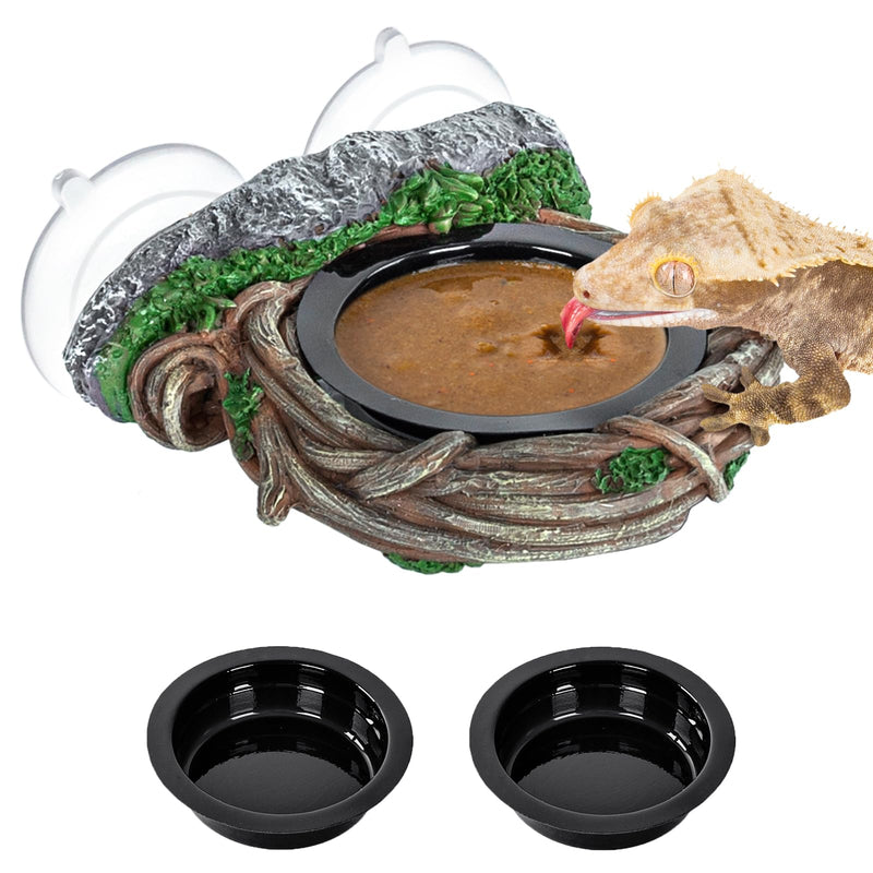 REPTI ZOO Crested Gecko Feeding Ledge, Reptile Water Food Dish for Bearded Dragon Lizard Snake Turtle, Vine Reptile Feeder Bowl Terrarium Tank Decor Accessories Single Feeder - PawsPlanet Australia