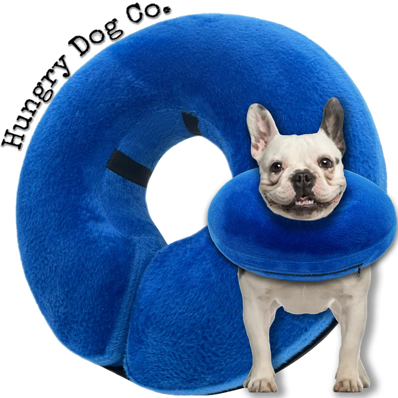 Hungry Dog Co.- Premium Inflatable Dog Collar for Dogs and Cats - Helps in Pet Recovery - Comfortable and Safe for Your Pet - Soft E-Collar – Blue, Medium (8”- 12” Neck) Medium (8”-12”Neck) - PawsPlanet Australia