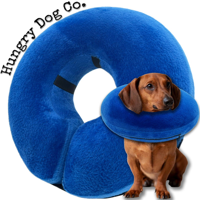 Hungry Dog Co.- Premium Inflatable Dog Collar for Dogs and Cats - Helps in Pet Recovery - Comfortable and Safe for Your Pet – Soft E-Collar – Blue, Small (5”- 8” Neck) Small (5”-8”Neck) - PawsPlanet Australia