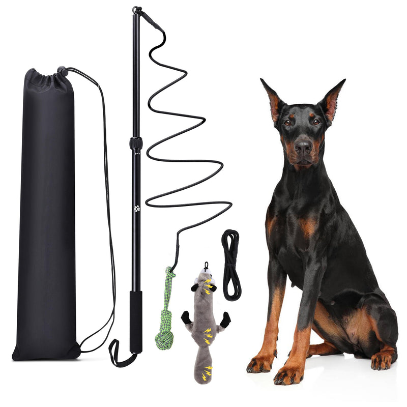 Flirt Pole Dogs, Dog Flirt Pole Extra Strong for Large Medium Small Dogs to Keep The Dog Entertained and Physically Exhausted Ball+Beaver L - PawsPlanet Australia