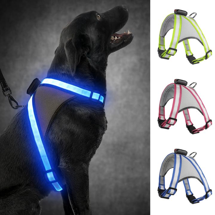 Visinite LED Dog Harness, USB Rechargeable Light Up Dog Vest, 2 Illuminate Modes Glow in The Dark Dog Harness, Adjustable Lighted Pet Harness Light for Night Walking Safety(Blue, S) Small Blue
