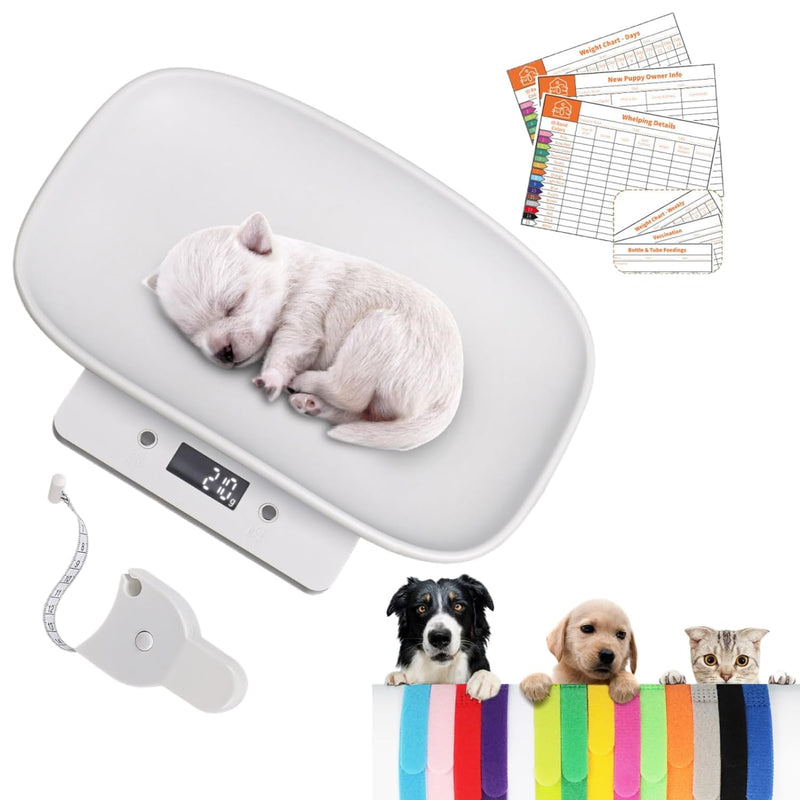 Digital Pet Scale, Puppy Scale for Weighing, Puppy Whelping Scale, Newborn Pet Weighing, Accurate Small Animal Scales for Kitten Hedgehog, Multi-Function LCD Scale,Max 33lb, 11.4 inch 33lb+Tape+Collars+Charts - PawsPlanet Australia