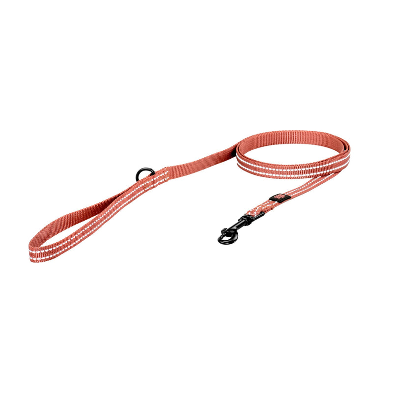 Good Scout 5' Heavy Duty Dog Leash for Small Dogs, Durable Walking & Training Leash for Puppies & Adult Dogs, D-Ring for Waste Bag Storage, Brick - PawsPlanet Australia
