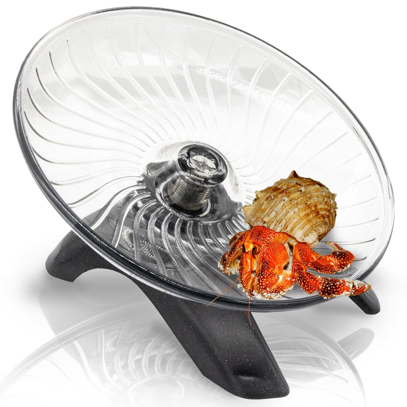 Hermit Crabs Wheel Hermit Crab Exercise Wheel Silent Running Wheel Hermit Crab Tank Accessories Small Animal Wheel for Hermit Crab Hamster Gerbils Hedgehogs - PawsPlanet Australia