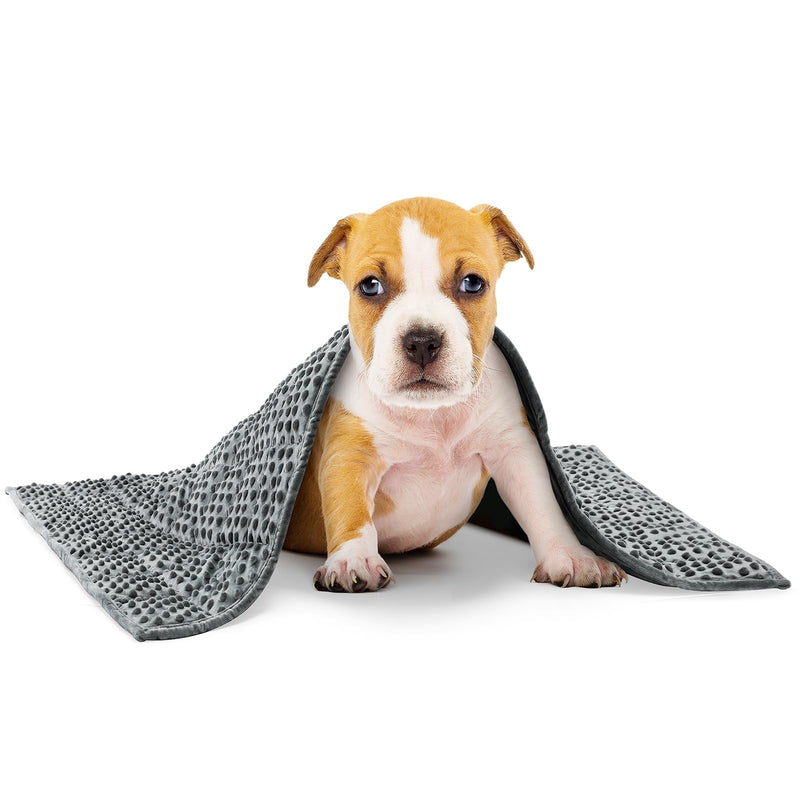 YUSRA Small Weighted Blanket for Dogs, Warm Minky Dog Blanket Especially for Thunderstorms, Fireworks, Separation, Travel, Bed and Couch, Machine Washable, Soft Dog Blanket (Grey, 24 * 32inch 2lbs) 24*32inch 2lbs Grey - PawsPlanet Australia