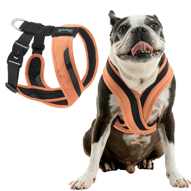 Gooby Comfort X One Dog Harness - Head-in Dog Harness for Small & Medium Sized Dogs - Escape-Free & Choke Free - Breathable Mesh, Shock Absorbing, Easy Snap & Swivel Buckles - Atlanta Peach, Large Large Chest (19.25-22.75") - PawsPlanet Australia