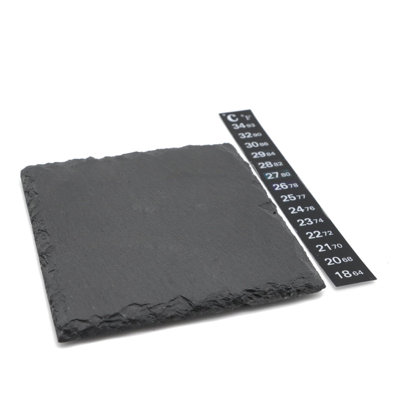 Slate Tiles for Reptiles, Food Bowl Dish Feeding Slate Tortoise Habitat Accessories for Reptiles Tank (10 x 10 cm) 10 x 10 cm - PawsPlanet Australia