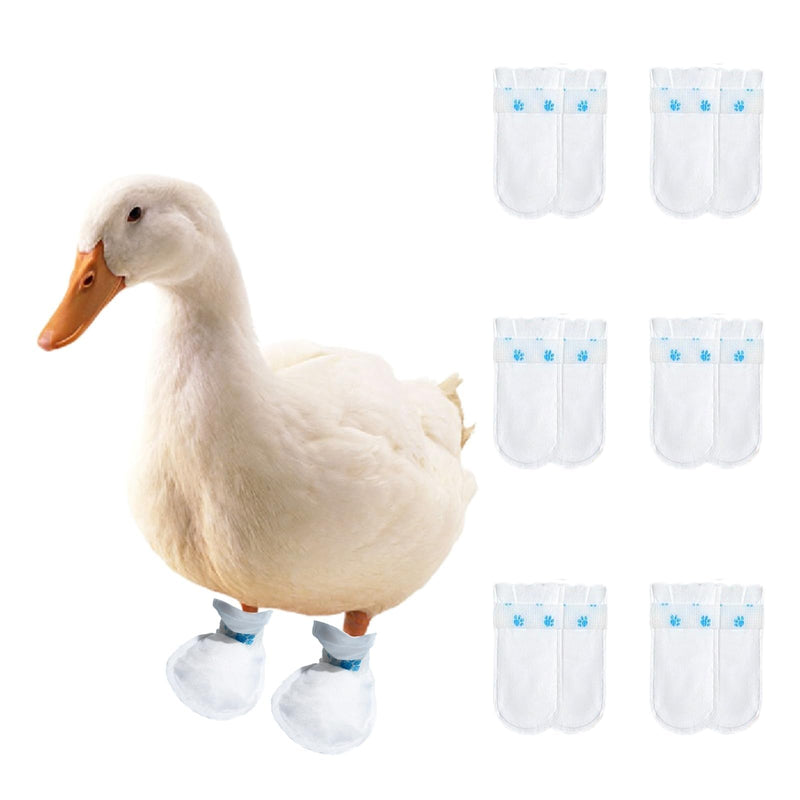 MANON ROSA Duck Shoes for Real Ducks Chickens 6-Pair Waterproof & Disposable Booties with Self-Adhesive Bandage for Waterfowl Wound Foot Care Bumblefoot (Waterproof Version,Medium) Waterproof Version Medium - PawsPlanet Australia