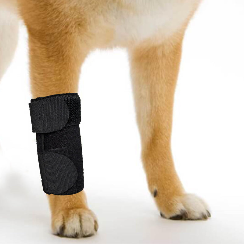 Dog Canine Front Leg Brace Paw Compression Sleeve Joint Wraps - Protects Wounds Stop Licking & Prevents Injuries, Sprains Helps with Loss of Stability from Arthritis - Medium - PawsPlanet Australia