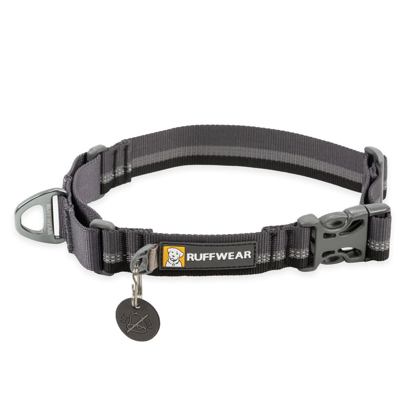 Ruffwear, Web Reaction Dog Collar, Escape-Proof Security Buckle, Adjustable Anti-Slip Martingale Collar with Durable Nylon Tubelok Webbing & Silent ID Attachment, Basalt Gray, 11"-14" 11"-14" - PawsPlanet Australia