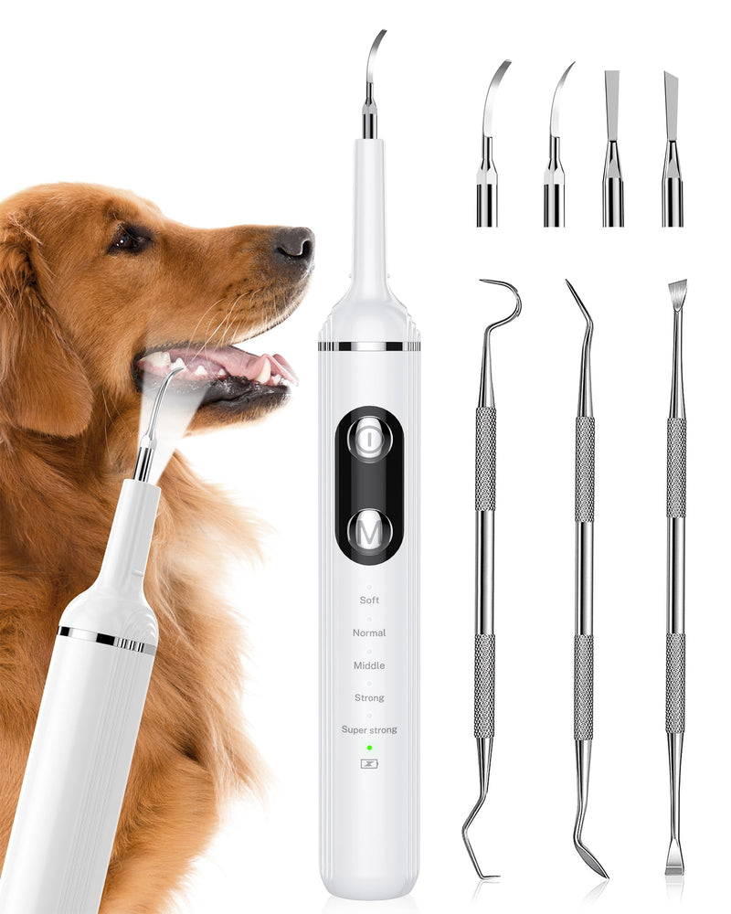 Plaque Remover for Teeth, Pet Tooth Brushing Kit, Dental Tools to Remove Plaque and Tartar, Safe for Dog and Cat, with LED Light, White - PawsPlanet Australia