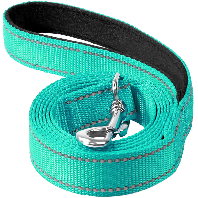 6ft Dog Leash for Small Medium Large Dogs | One-Sided Reflective Nylon | Padded Handle | 3/4 inch Wide | Turquoise 3/4"*6' - PawsPlanet Australia