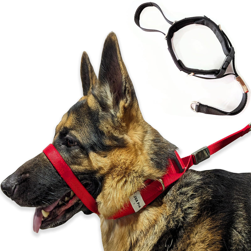 PetsProMax Dog Headcollar for Pulling & Reactive Dogs – No-Pull Training Collar with Behind-Head Leash Hook for Peaceful Walks, Instantly Stops Pulling Without Choking or Pinching (Red, L) Large (L) Red - PawsPlanet Australia