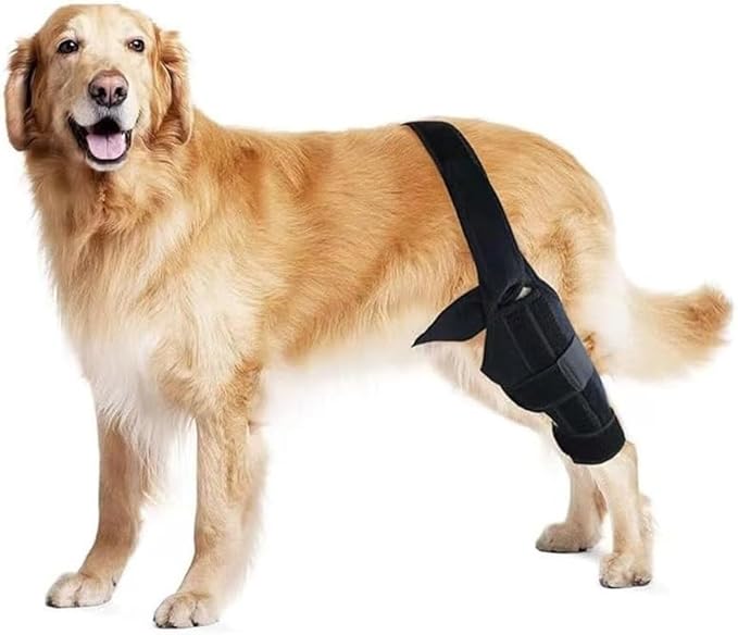 Dog Knee Brace, Hip Displaysia Dog Support Brace, Dog ACL Brace Hind Leg, Dog ACL Knee Brace, Dog Knee Brace for Luxating Patella, ACL Brace for Dogs Rear Leg, Dog Hip Support brace (L - Left) L - Left - PawsPlanet Australia